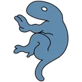Cuetzpalin